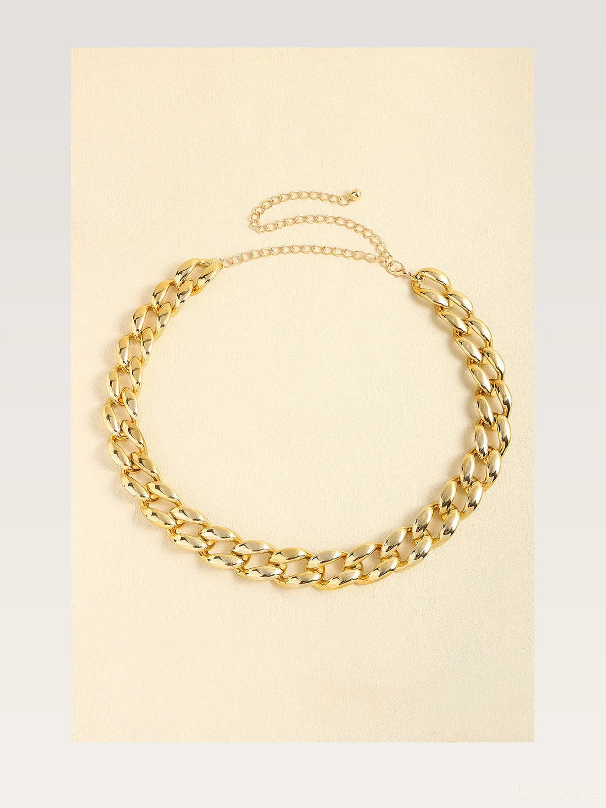 1 Width Acrylic Curb Chain Belt — styled showcase — Livostyle