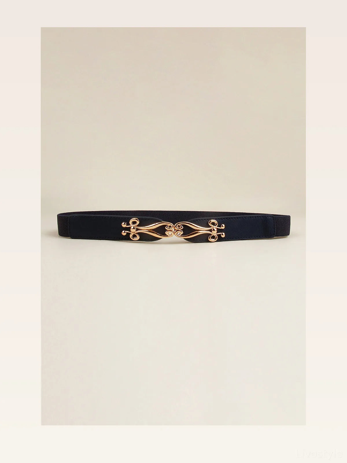 Dressy Alloy Buckle Elastic Belt — styled showcase — Livostyle