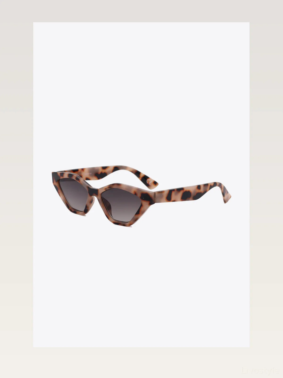 Cat Eye Polycarbonate Sunglasses — styled showcase — Livostyle