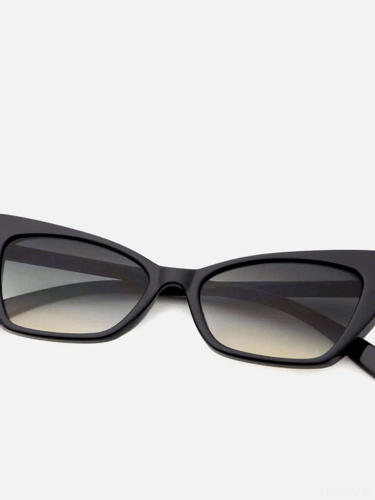 Acetate Lens Cat Eye Sunglasses — detail view — Livostyle