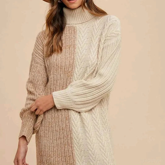 Color Block Turtleneck Sweater Dress — square view — Livostyle