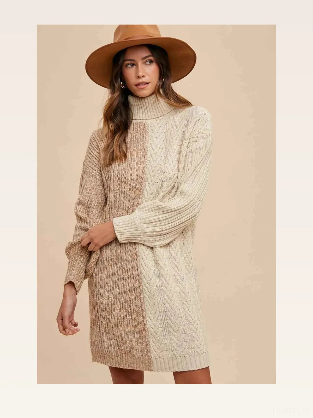Color Block Turtleneck Sweater Dress — styled showcase — Livostyle