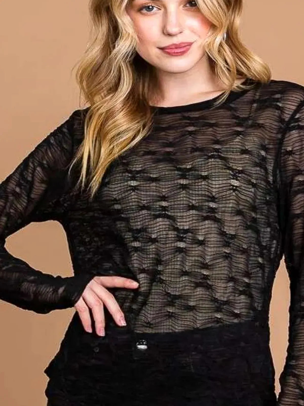 Trendy Mesh Perspective Top with Round Neck — detail view — Livostyle