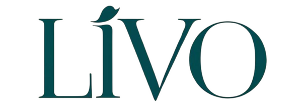 LIVOSTYLE logo in teal on transparent white background