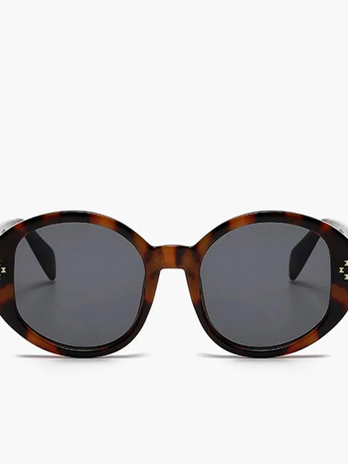 Polycarbonate Frame Oval Sunglasses — detail view — Livostyle