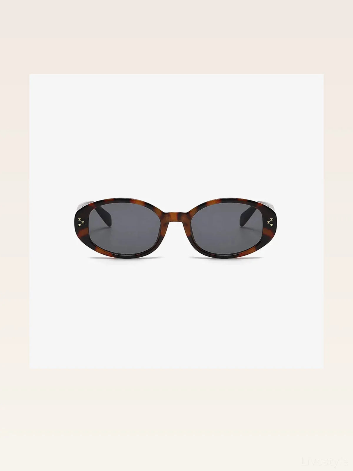 Polycarbonate Frame Oval Sunglasses — styled showcase — Livostyle