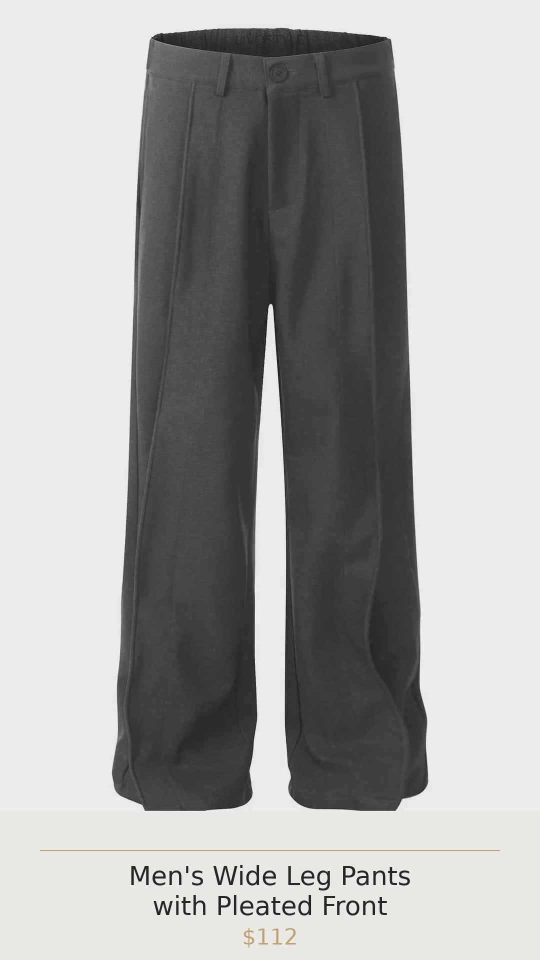 Men's Wide Leg Pants with Pleated Front